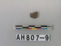 藏品(灰褐色夾砂陶片)的圖片
